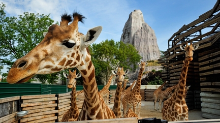 Parc zoologique (zoo de Vincennes)