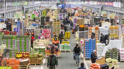 Visit of the Rungis market